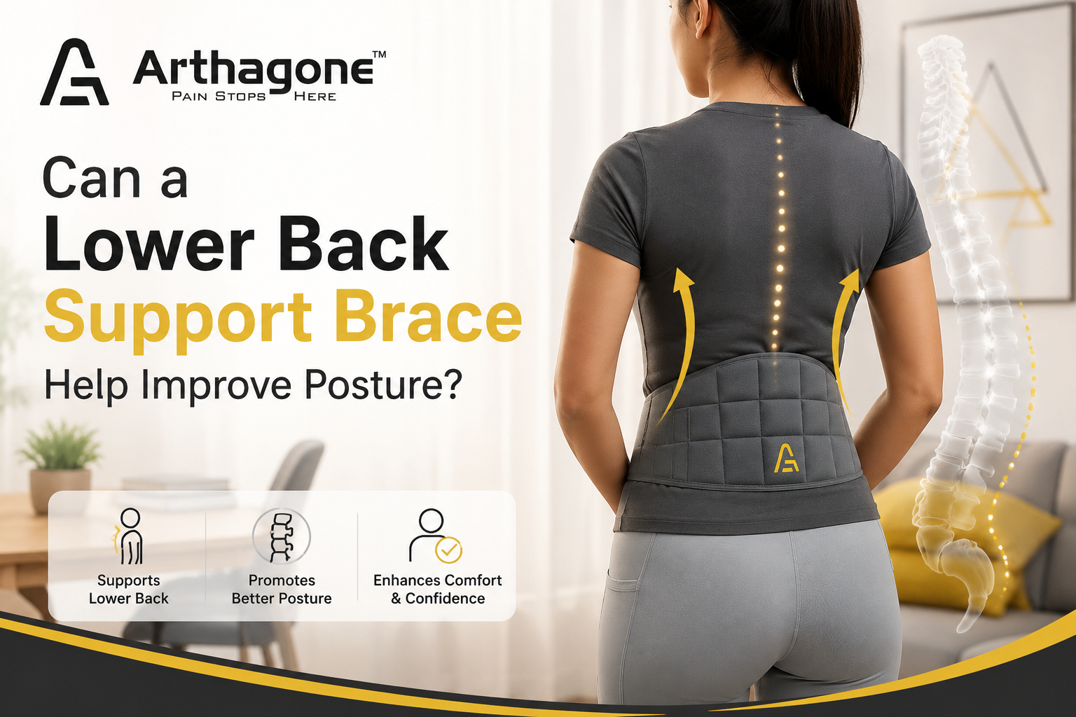 Lower back Suport brace